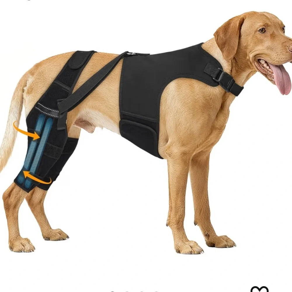 Marnonsis Dog Knee Braces For Back Leg, Adjustable ACL Brace 2XL/458-bb3